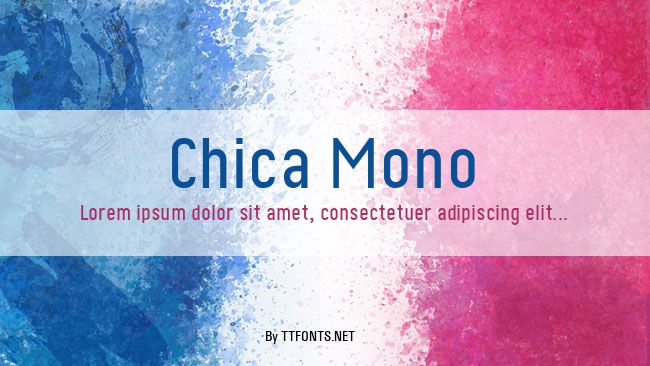 Chica Mono example